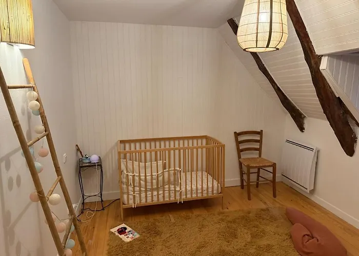 Calme, Charme & Nature Au Chateau D'anjony *