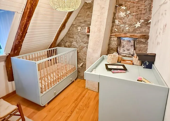 Calme, Charme & Nature Au Chateau D'anjony Tournemire (Cantal)